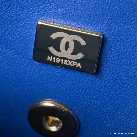 HyperPeter CHANEL SMALL BOX BAG 0523